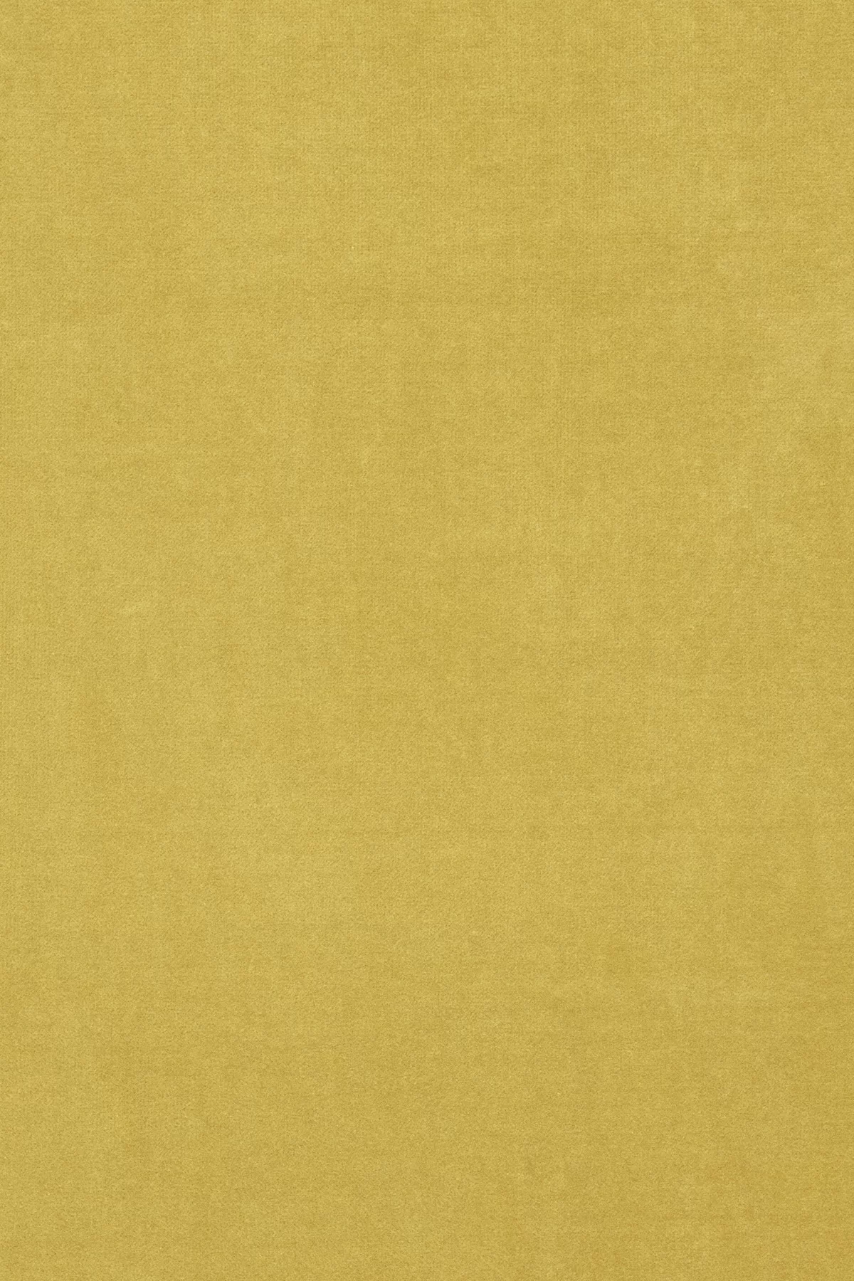 Fabric sample Harald 3 443 yellow